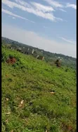 Land for Sale in Gayaza Dundu - 4