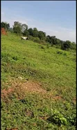 Land for Sale in Gayaza Dundu - 5