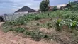 Residential Plot for Sale - Gayaza-Nabutaka Road - 1