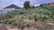 Residential Plot for Sale - Gayaza-Nabutaka Road - 2