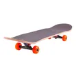 Brand New Skateboard - 4
