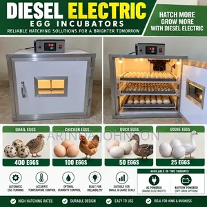 Mini Egg Incubator - 100 Egg Capacity