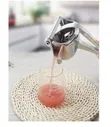 Stainless Steel Manual Fruit Press Squeezer - 3