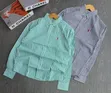 Polo Men's Stripped Shirts - 3