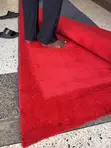 Galaxy Soft Carpets - High Quality - 1
