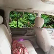 Toyota Land Cruiser Cygnus 4.7 V8 2007 White - 4