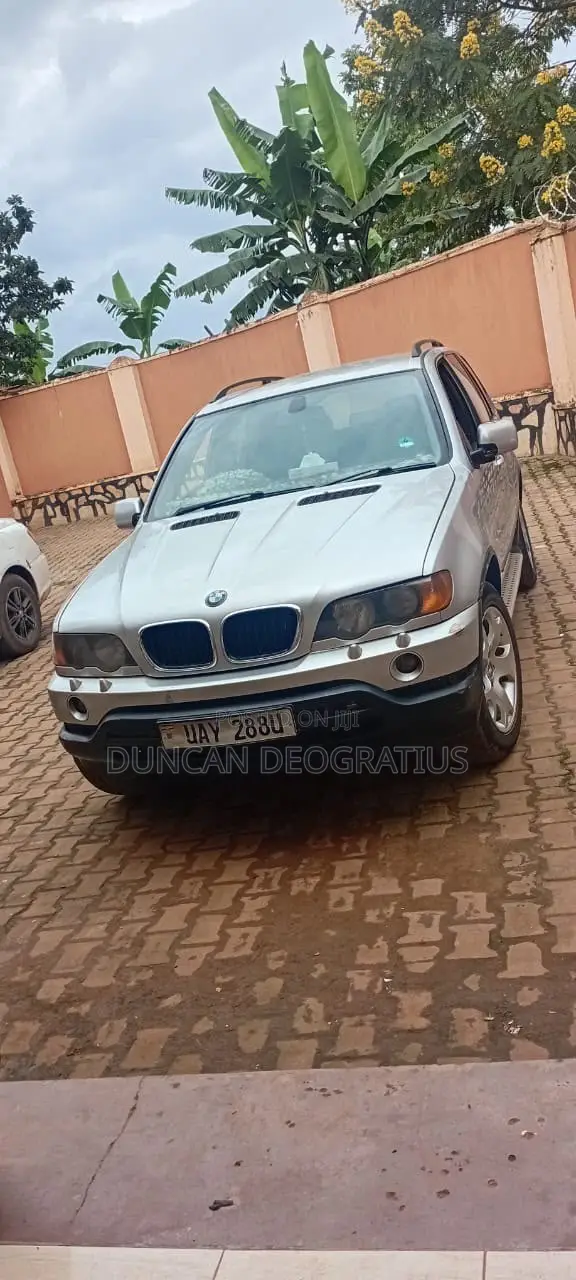 BMW X5 3.0 SUV 2001 Gray - 1