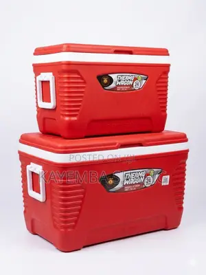 Set of 2 Asian Thermo Wagon Insulated Cooler Boxes (62L & 32L)