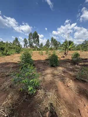 Plots for Sale: Nakifuma-Magogo (50x50ft & 50x100ft)
