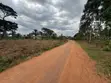 Plots for Sale: Nakifuma-Magogo (50x50ft & 50x100ft) - 2