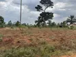 Plots for Sale: Nakifuma-Magogo (50x50ft & 50x100ft) - 4