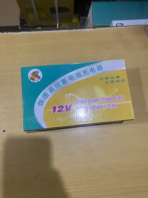 12V 6A Battery Charger for 120A Batteries
