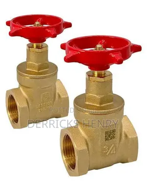 Brand New LiRLEE G.i Valve Water