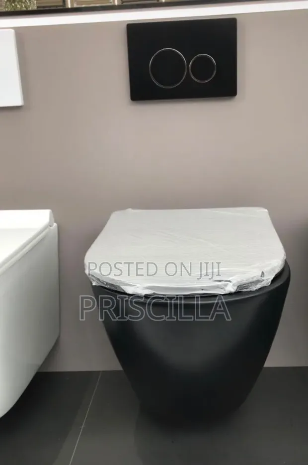 Concealed Toilet - Air King - 1