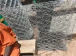 Gabion Nets 8x4 G12 - 2