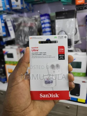 SanDisk 256GB Memory Card