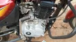 Bajaj CT 125X 2026 Red - 2