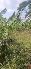 Plot for Sale in Zirobwe Burubakulu - 1