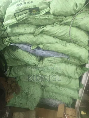 Assorted Nails, All Inches, 50kg