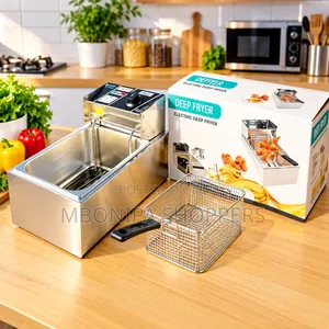 Stainless Steel Electric Deep Fryer with Basket