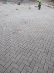 Professional Paver Laying Services - 2