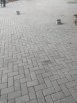 Professional Paver Laying Services - 4