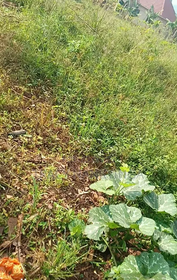 Plot of Land for Sale in Mityana - 1