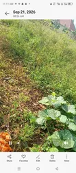 Plot of Land for Sale in Mityana - 2