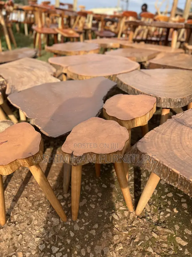 Organic Muvule Wood Slice Coffee Table - 1