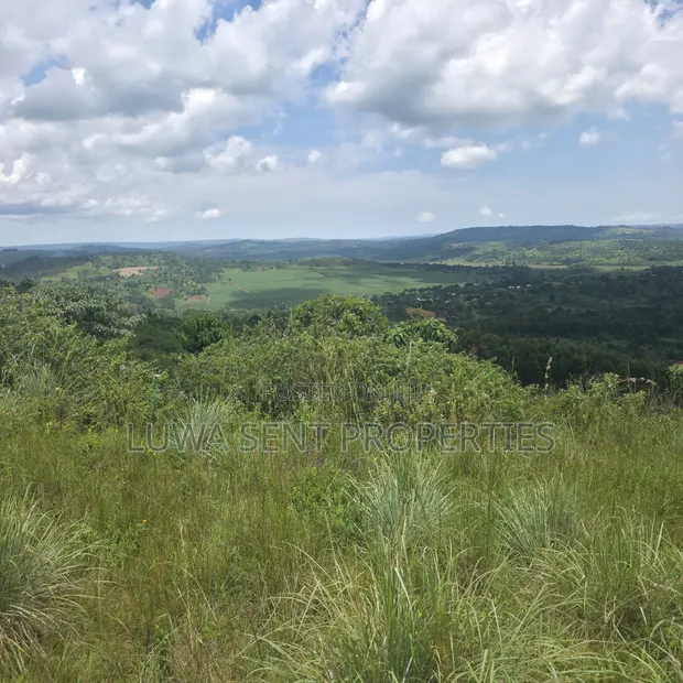 50 Acres Mailo Land in Sekanyonyi, Mityana - 1
