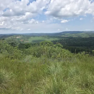 50 Acres Mailo Land in Sekanyonyi, Mityana