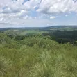 50 Acres Mailo Land in Sekanyonyi, Mityana - 1