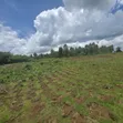 50 Acres Mailo Land in Sekanyonyi, Mityana - 2