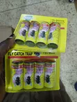 Green Killer Fly Catch Trap Sticky Ribbon Tubes - 1