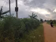 Commercial Plot 50x100ft with Land Title in Mpelerwe Kabaga - 2