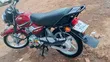 TVS HLX 125 2025 Red - 4