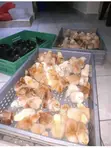 God's Mercy Agrovet: Day Old Chicks - 2