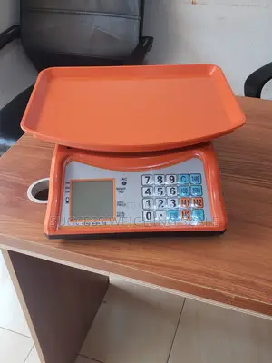 Accurate 40kg Digital Weighing Scale