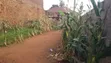 2 Bedroom House for Sale, 2km from Bwaise, Kawempe - 4