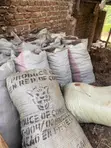 Organic Pig Manure Fertilizer - 2