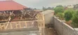 Calpate Roofing Services for Houses - 3