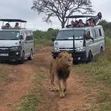 Safari Drone for Hire - 4