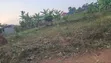 Land for Sale in Kiwenda Town, Gayaza - 1
