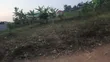 Land for Sale in Kiwenda Town, Gayaza - 2