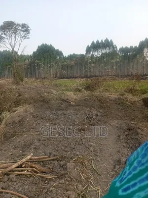 31 Acres Farmland for Sale in Gomba