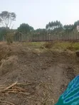 31 Acres Farmland for Sale in Gomba - 1