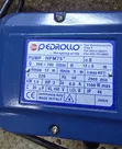 Pedrollo Surface Water Pump 2HP (1.5kW) - 3