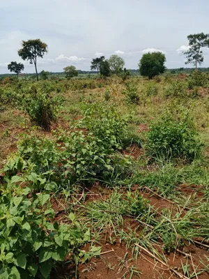 200 Acres Farmland - Kikyusa Luwero (Sell from 100 Acres)