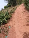 200 Acres Farmland - Kikyusa Luwero (Sell from 100 Acres) - 4