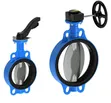 Butterfly Valve - 4 Inch Diameter - 1